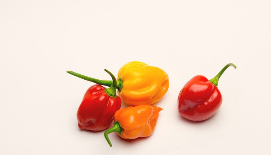 habanero peppers on white background
